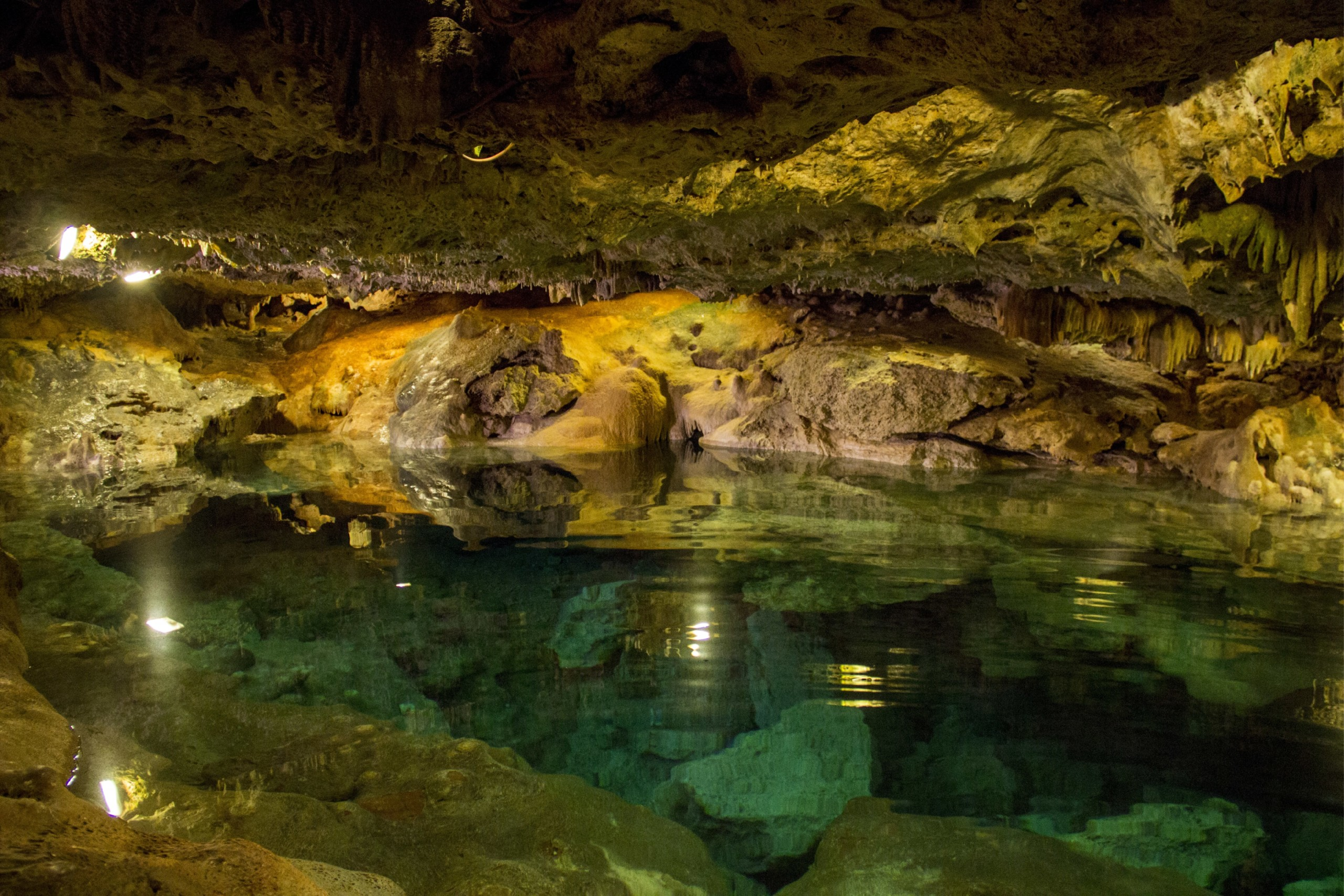 5 Cenotes que Tienes que Visitar en Yucatán. 